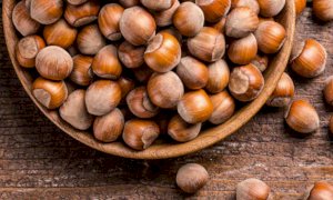 Coldiretti, al via un progetto di filiera per valorizzare le nocciole piemontesi