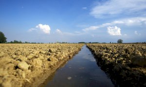 Giornata dell’Ambiente, un appello a preservare la biodiversità del ‘made in Piemonte’