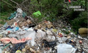 I Carabinieri Forestali hanno scoperto 50 metri cubi di rifiuti abbandonati in un bosco a Sommariva Perno