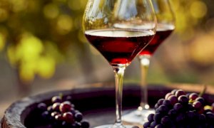 'Servono misure straordinarie per i produttori di vino'