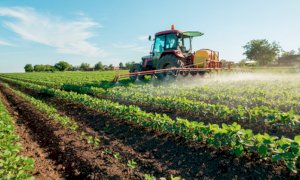'Servono flessibilità e misure straordinarie per sostenere l'agricoltura piemontese'