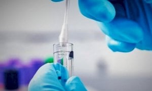 Coronavirus, il bollettino di martedì 16 giugno: nella Granda nessun decesso e un solo nuovo caso