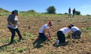 “Agricoltura sociale: un modello innovativo di sostenibilità” 