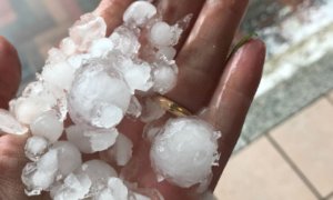 Violenta grandinata nel Saluzzese, gravi danni ai frutteti e alle strutture agricole