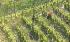 Migranti sfruttati nei campi tra la Granda e l'astigiano: arrestata una quarantenne