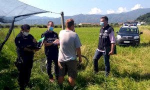 Undici braccianti stranieri senza contratto in due aziende agricole del Saluzzese: ‘stangata’ da 50mila euro
