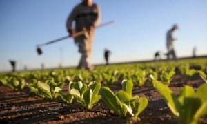 ''Le imprese aspettano ancora gli aiuti, ma lo Stato chiede i contributi entro il 16 luglio''