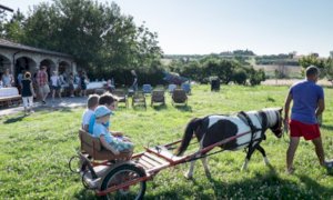 'Il bonus baby sitter spendibile anche nelle fattorie didattiche Made in Piemonte'