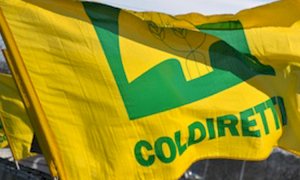 Consumo di suolo: 'Un patto salvacibo tra Italia Nostra e Coldiretti'