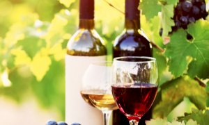 'Il Made in Piemonte va favorito con un piano di promozione'