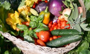 Il progetto '25 miglia' a Ceva come esempio di valorizzazione del paesaggio