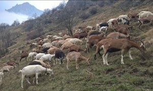 'Esperienze di gusto' alla scoperta dei sapori delle valli Gesso, Stura, Grana e Maira