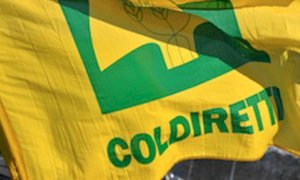 Coldiretti, Recovery Fund: 'Salvare sovranità alimentare con interventi rapidi per una vera ripartenza'