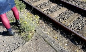 Fotografa una ragazzina accanto a lui ma viene notato dai passeggeri del treno: denunciato un 65enne