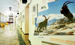 Doppia esposizione sullo stambecco alle Terme di Valdieri