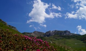 Limone Piemonte, gli eventi dal 17 al 23 agosto