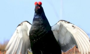 Chiusa Pesio, il 26 agosto nuovo appuntamento con 'Cinema in Cortile'