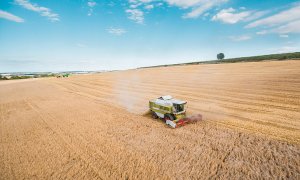 Agricoltura, la Lega esulta: ‘Successo del mediocredito grazie al nostro lavoro in parlamento’