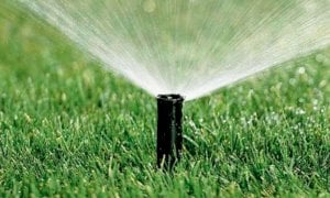 Savigliano, impianti di irrigazione del verde pubblico manomessi: il Comune presenta denuncia contro ignoti