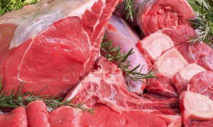 Centinaio-Bergesio (Lega): 'Crollo della carne segnale dell'incompetenza del governo'