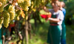 Coldiretti Piemonte: 'Per le imprese agricole necessari voucher e quarantena attiva'