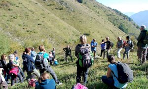 Dal 4 al 6 settembre la prima summer school del progetto LIFE WolfAlps EU