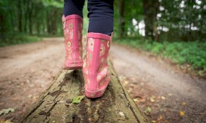 BusCammina, sei incontri per imparare a camminare all’insegna del benessere