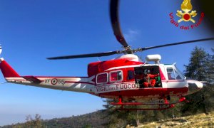 Frassino, recuperata dai vigili del fuoco una mucca caduta in un dirupo