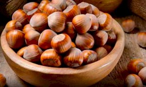 ''Vergognoso e inaccettabile che la Tonda gentile abbia quotazioni vicine a quelle delle nocciole turche''