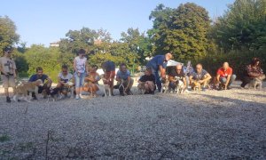 Cherasco, torna “Una giornata dedicata agli amici a 4 zampe”, giunta alla sesta edizione