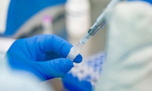 Coronavirus, in Piemonte 74 nuovi contagiati: ben 50 sono asintomatici