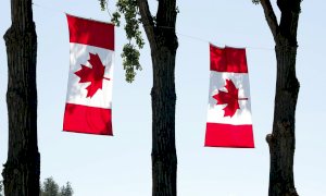 Dopo l'accordo Ceta raddoppiano le importazioni di prodotti alimentari canadesi In Italia