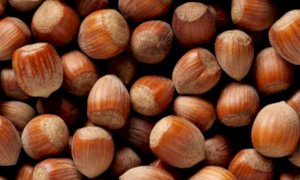 Confagricoltura impegnata per il rafforzamento della produzione delle nocciole del Piemonte