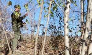 Martedì 29 settembre riapre lo Sportello Forestale del Parco del Monviso