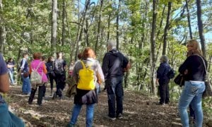 Busca, domenica di nuovo la grande passeggiata nel bosco del Roccolo