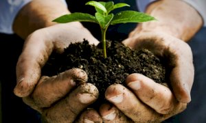 Coldiretti Piemonte: 'Boom per il biologico, ma occorre rinforzare i controlli''