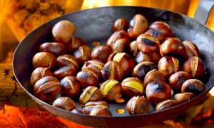 Peveragno, castagnata a Madonna dei Boschi