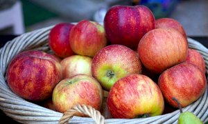 In vendita le mele del 'frutteto didattico' del 'Virginio Donadio' di Cuneo