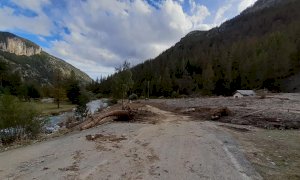 Un gruppo di margari in marcia con una mandria di mucche da Casterino verso la valle Vermenagna