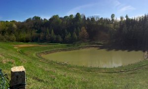 Tartarughe palustri abbandonate: la Provincia rinnova la convenzione per la custodia a Sommariva Perno