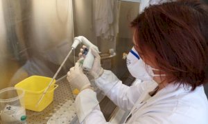 Coronavirus, in Piemonte scoperti 972 nuovi casi con 11.066 tamponi