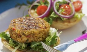 'Il sì dell’Europa ad hamburger vegani e bistecche vegetariane crea confusione sui valori nutritivi'