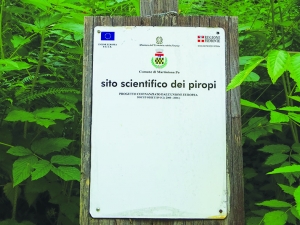 Il Piropo di Martiniana Po’