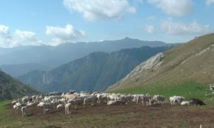 'L'agricoltura di montagna a corto di risorse'