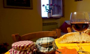 Cia Piemonte sul nuovo Dpcm: ''Lo stop degli agriturismi equivale alla chiusura dell'attività''