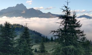 Attivo a Frassino un nuovo Sportello Forestale