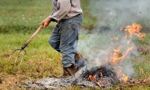 Dal mese di novembre scatta il divieto di bruciare materiale vegetale