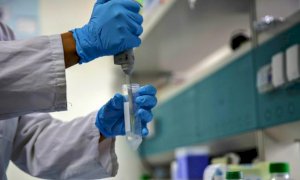 Coronavirus, in Piemonte 2.719 nuovi casi: il 45% è asintomatico