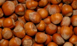 Un documentario per 'smascherare' la concorrenza sleale turca alla nocciola Made in Piemonte