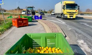 Confreria, un camion perde il carico di mele sulla rotonda 